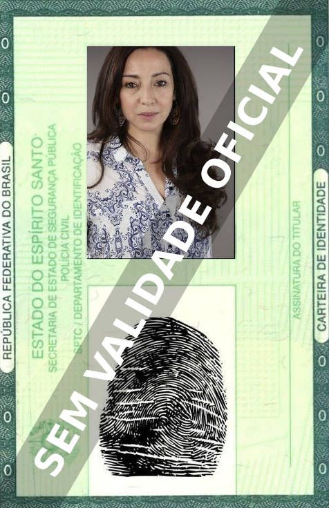 Imagem hipotética representando a carteira de identidade de Ana Nave