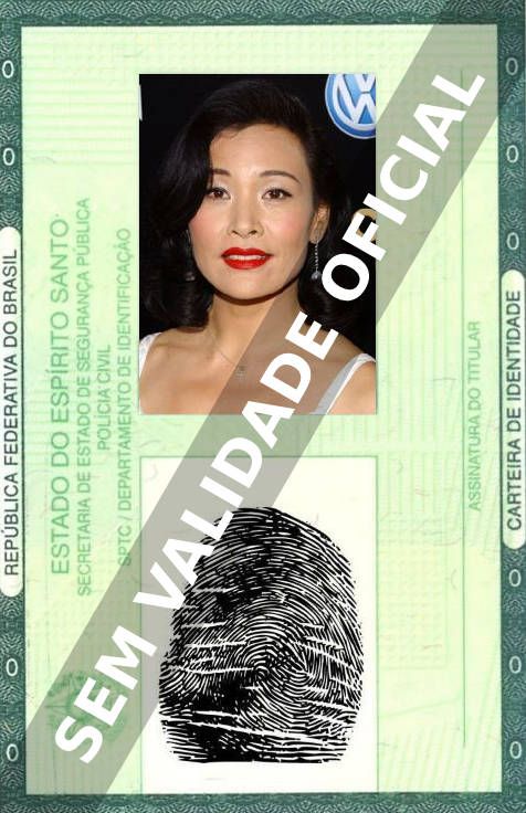 Imagem hipotética representando a carteira de identidade de Joan Chen