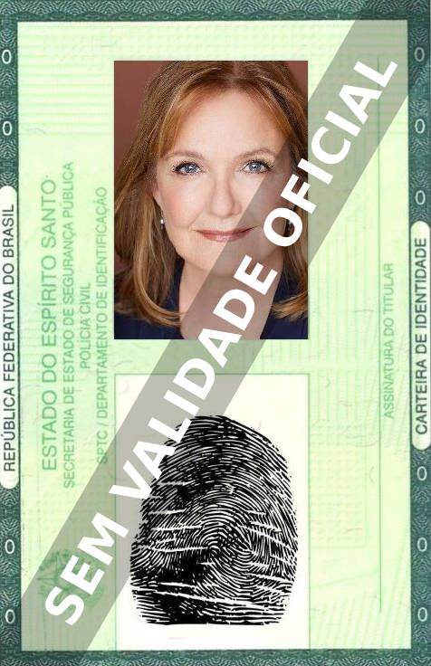 Imagem hipotética representando a carteira de identidade de Nancy Lenehan