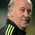 Vicente del Bosque
