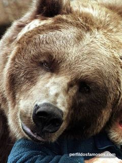 Foto de Bart the Bear