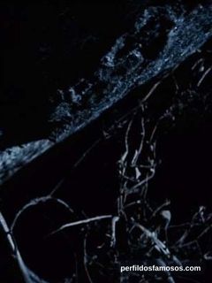 Foto de Renato Prieto