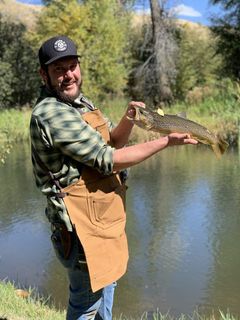 Foto de Gabriel Gator Guilbeau