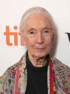 Foto de Jane Goodall