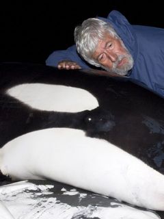 Foto de Jean-Michel Cousteau