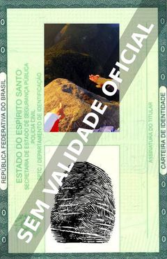 Imagem hipotética representando a carteira de identidade de Alexander Polli