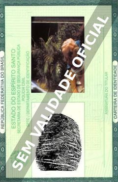Imagem hipotética representando a carteira de identidade de Gioia Scola