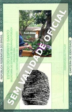 Imagem hipotética representando a carteira de identidade de Patrícia Poeta