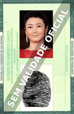 Imagem hipotética representando a carteira de identidade de Tao Zhao