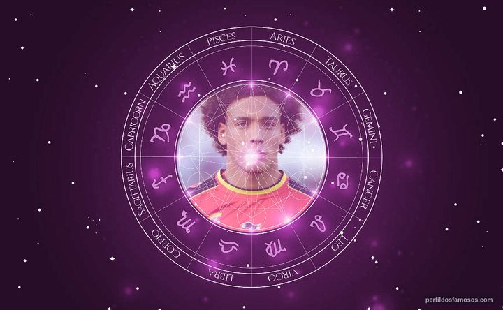 Imagem representando o mapa astral de Axel Witsel