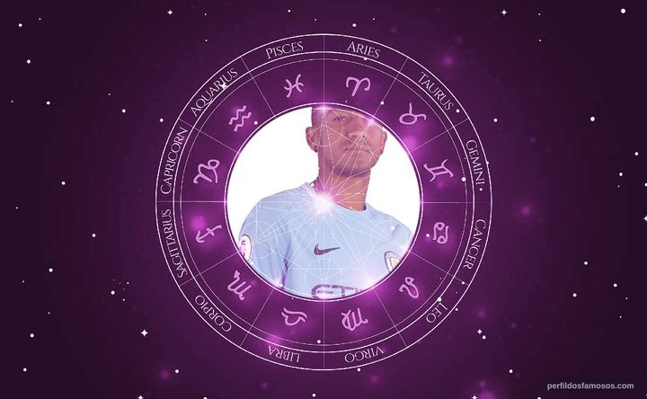 Imagem representando o mapa astral de Danilo Luiz da Silva