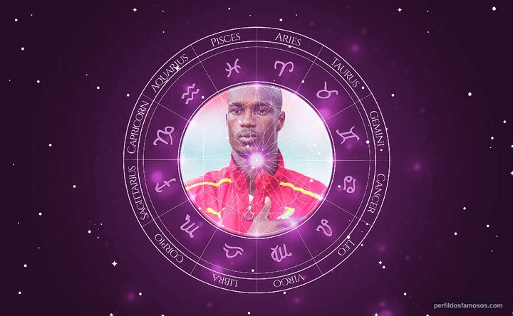 Imagem representando o mapa astral de John Boye