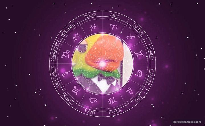 Imagem representando o mapa astral de Louro José