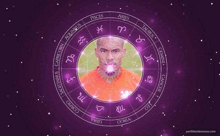 Imagem representando o mapa astral de Nigel de Jong