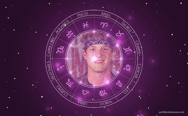 Imagem representando o mapa astral de Pedro Novaes