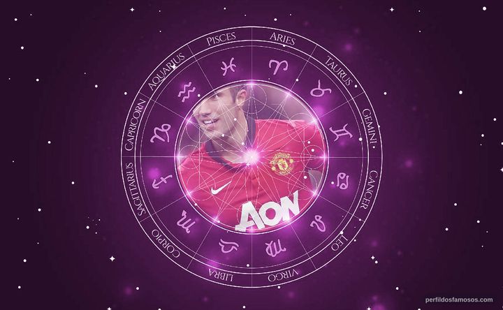Imagem representando o mapa astral de Robin van Persie