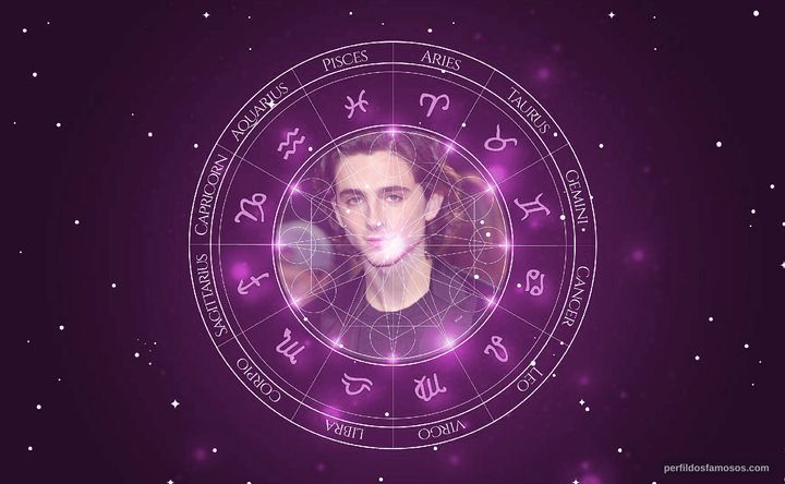 Imagem representando o mapa astral de Timothée Chalamet